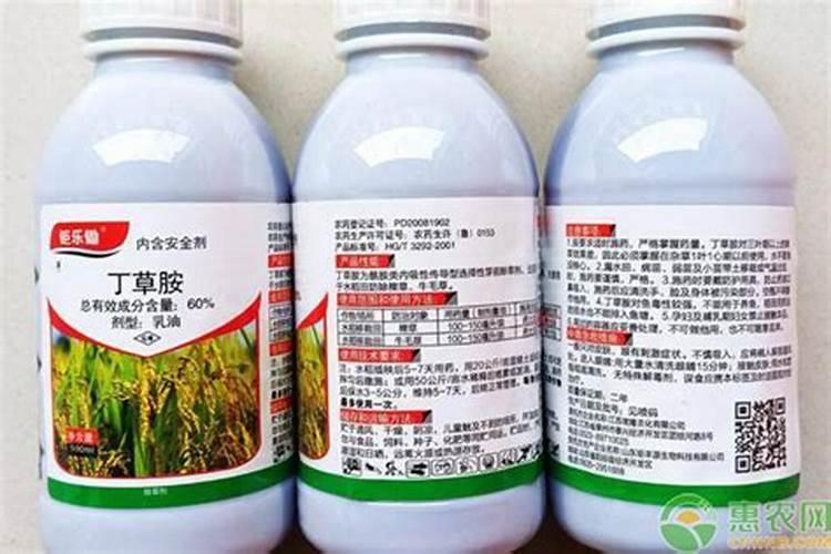 水稻直播后第二天可以用丁草胺吗