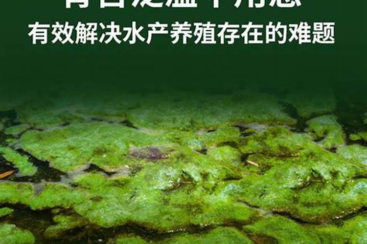 鱼塘下肥碳铵和磷肥怎么用