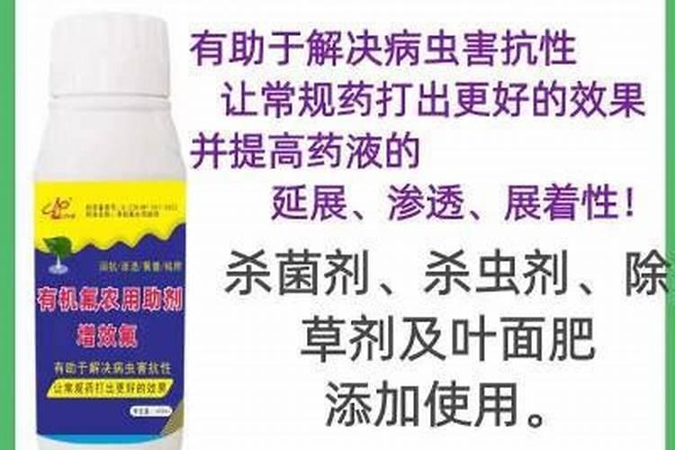 蓝莓用什么肥料？