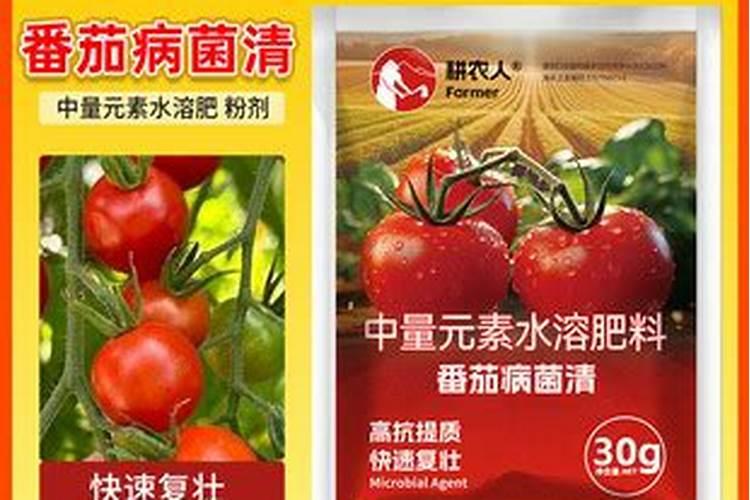 大番茄的营养价值和千禧小番茄的营养价值相比怎么样？