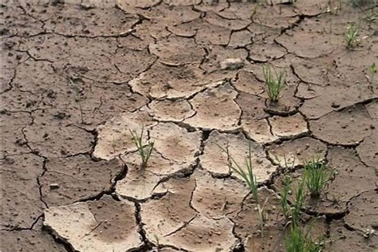 警惕肥料造假,了解甲酸钾水溶肥避免被“套路”