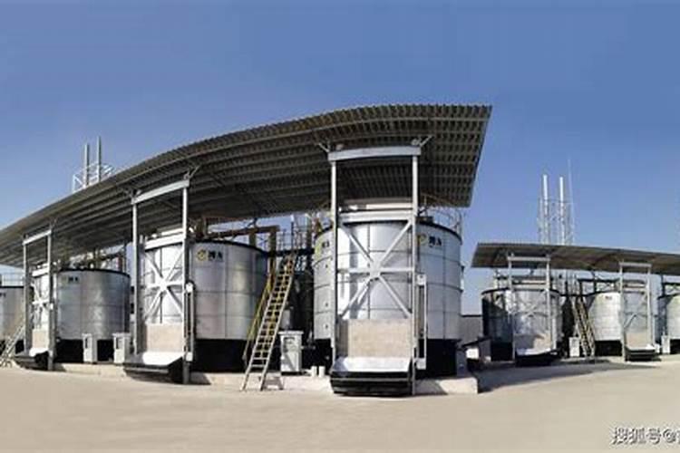 羊粪好还是牛粪好？？