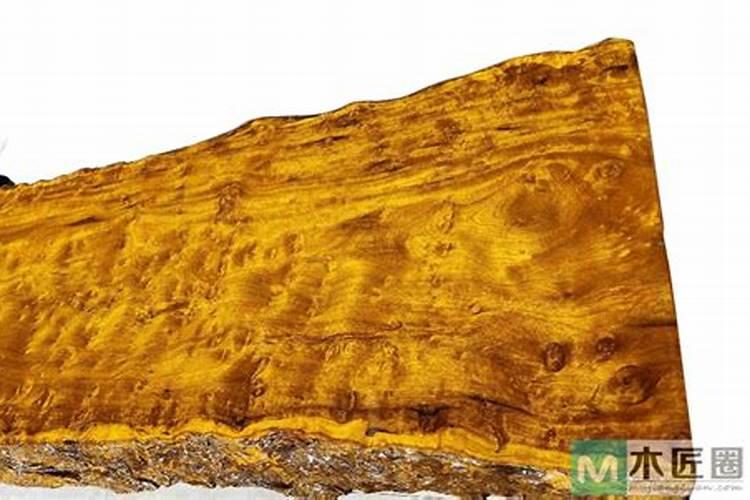 金丝楠木施什么肥最好