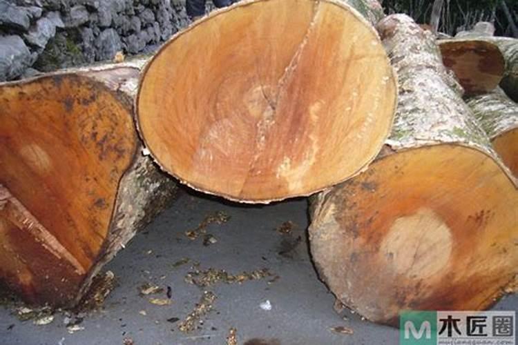 金丝楠木合适什么肥