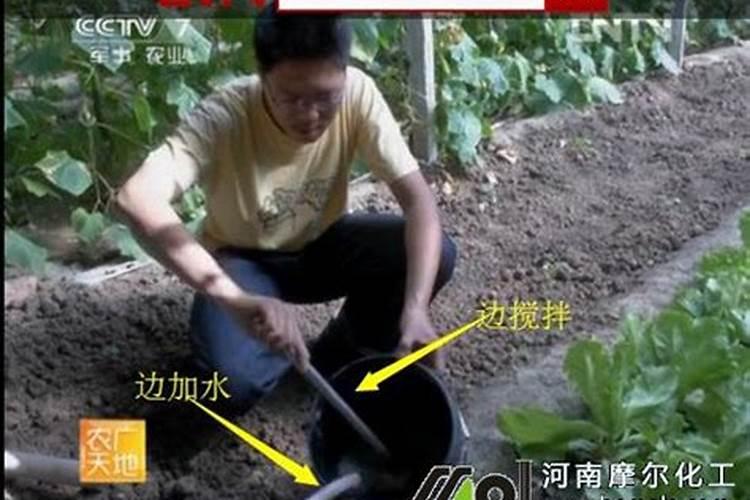 1斤水溶肥兑多少水