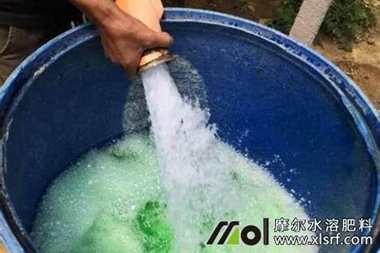 如果用水溶肥给白菜浇根,水溶肥和水的比例是多少？