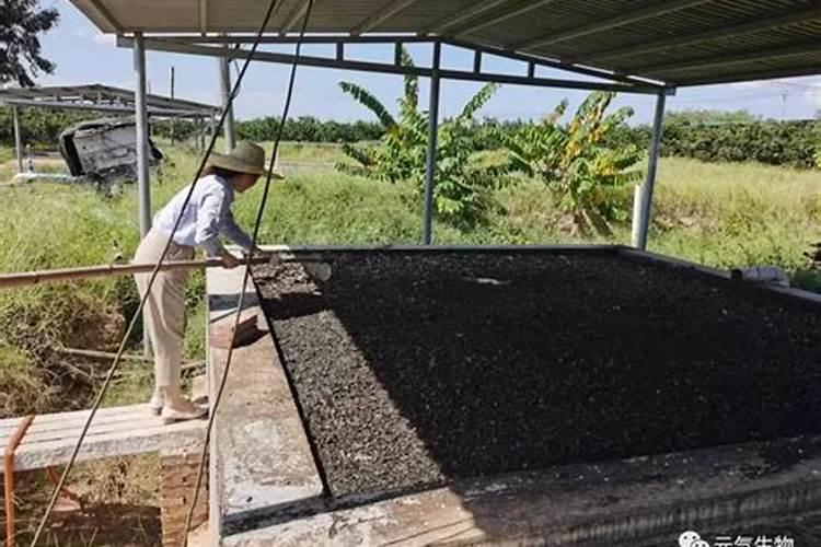 花生米能当花肥用吗？