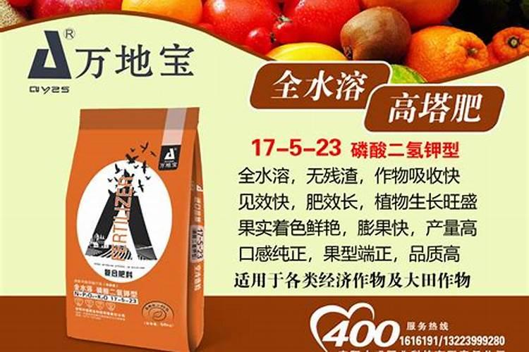 想要实现莴苣丰产,应该如何做好水肥管理呢？