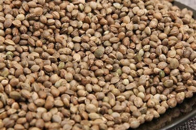 自己在家怎么自制氮肥和钾肥？需要用到哪些材料？