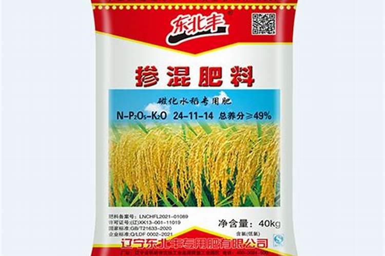 红菠萝种植方法和注意事项