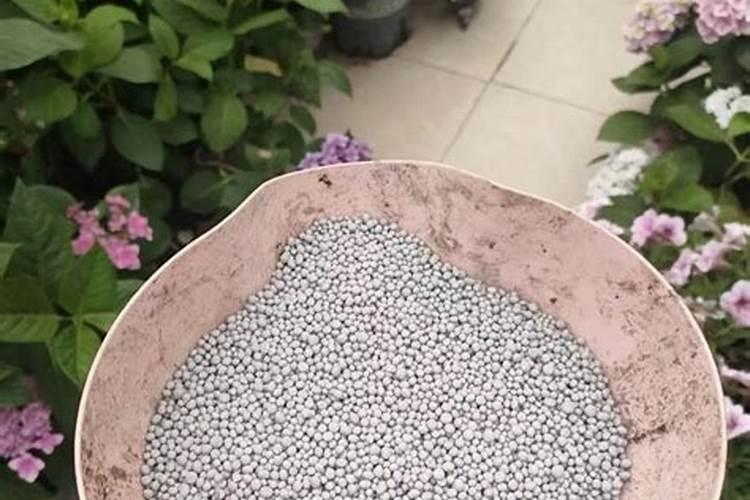 流泉枫能用三元复合肥吗？