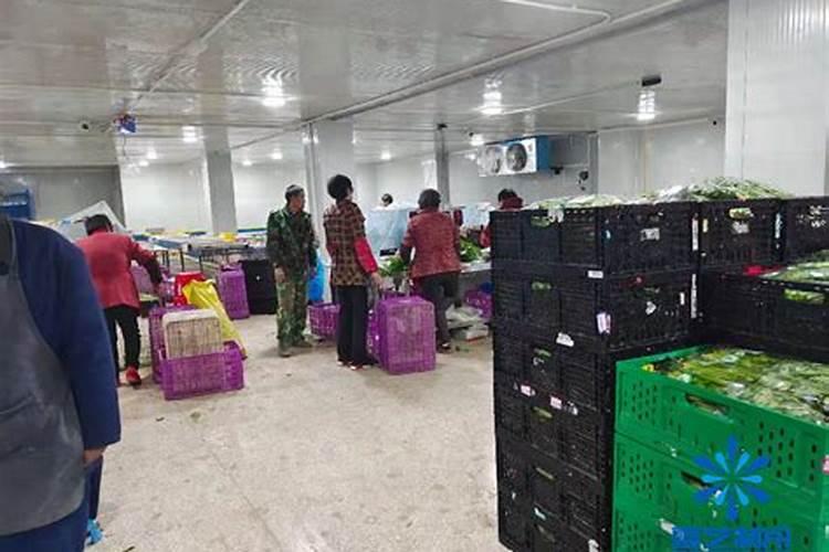 卖大葱这个买卖怎么样