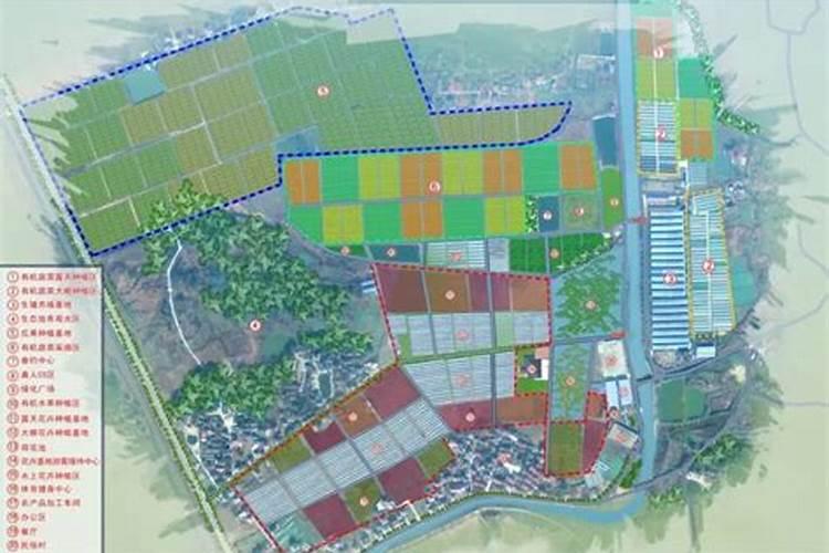 大家用过祥云健康肥油菜专用的肥料吗？可以说说看效果怎么样呢？