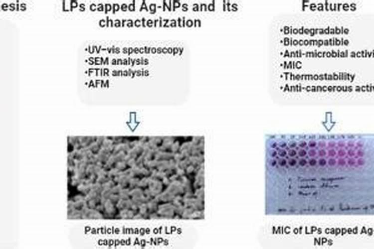撒可富磷酸二铵多少钱一袋