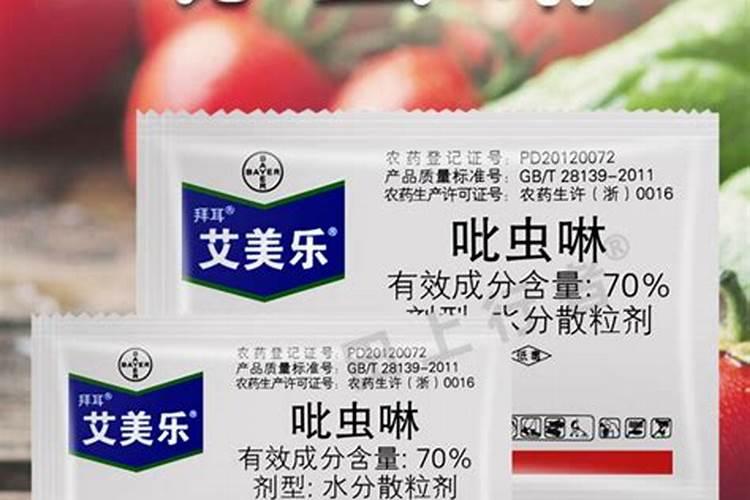 多肉出现小尾巴要怎么处理