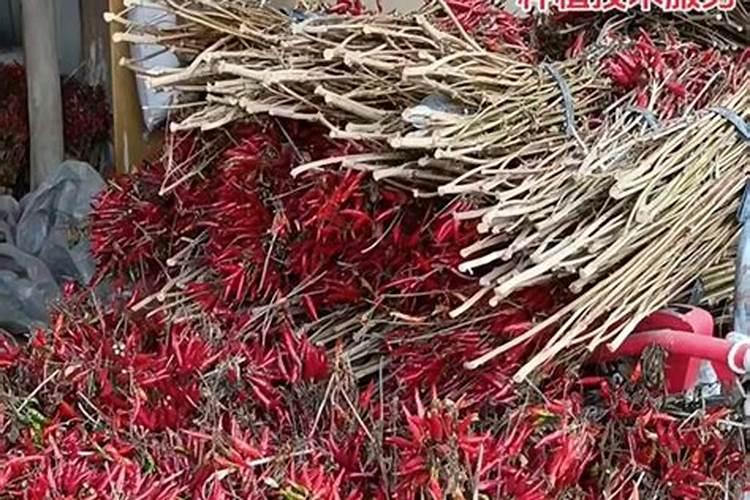 大蒜开春第一遍肥用什么好