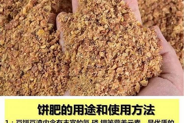 水稻移栽后几天可用除草剂 移栽后叶子发黄是怎么回事