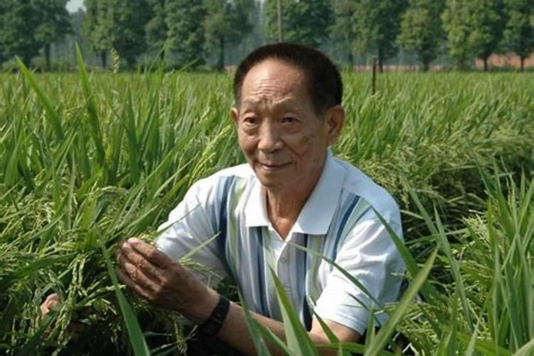 获得“未来科学大奖”生命科学奖的袁隆平,主要都做出了什么贡献？