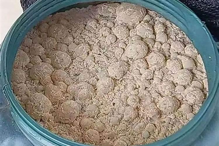 早上用磷肥下午可以用芽孢杆菌吗