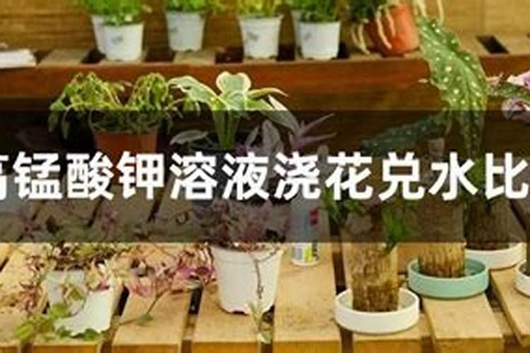 农家化肥可以给盆花用吗？