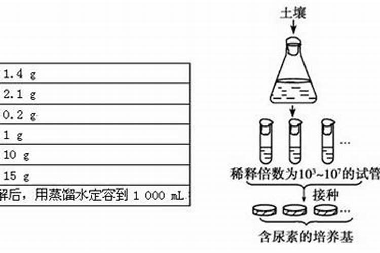 五种常见的氮肥是什么
