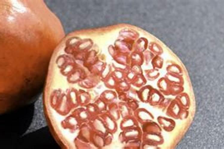 石榴皮可以做花肥吗