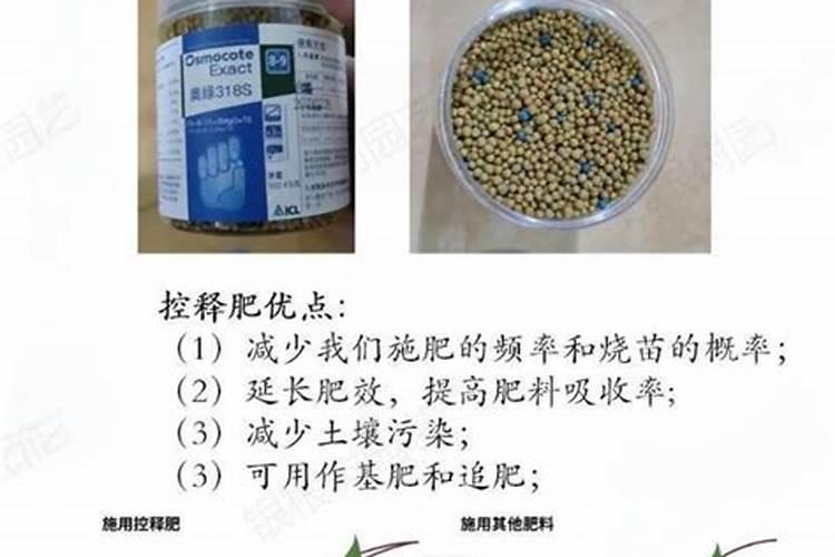 控释肥可以做底肥吗