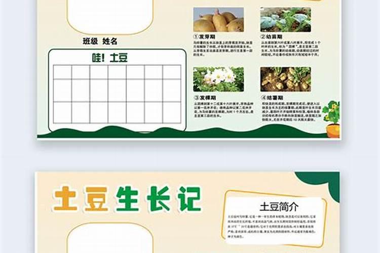 南方土豆施肥时间和方法 南方土豆如何施肥