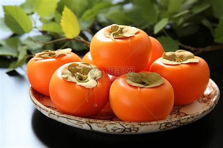 柿子树能上肥料吗