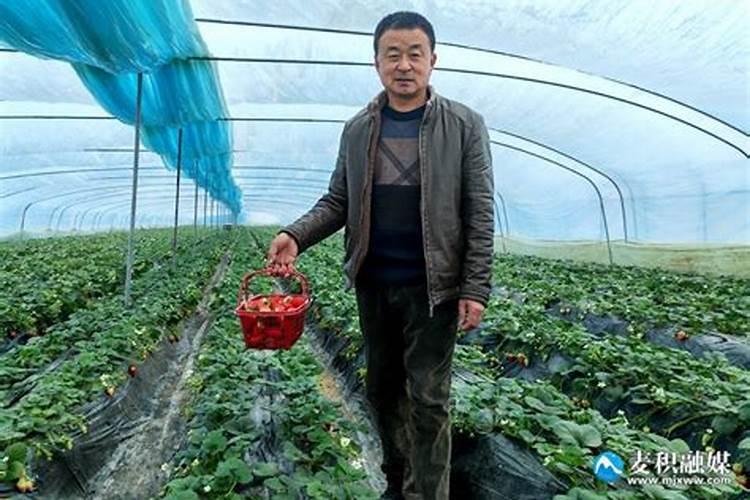 天水市麦积区马跑泉镇大柳树村一亩地能卖多少钱