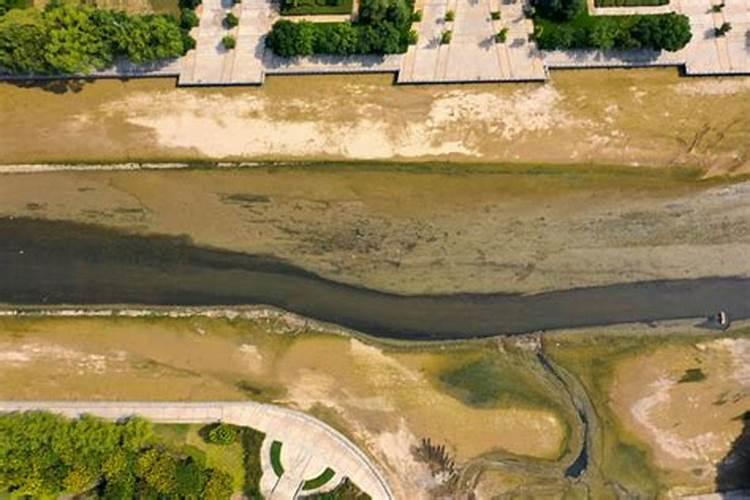 河底淤泥有什么价值