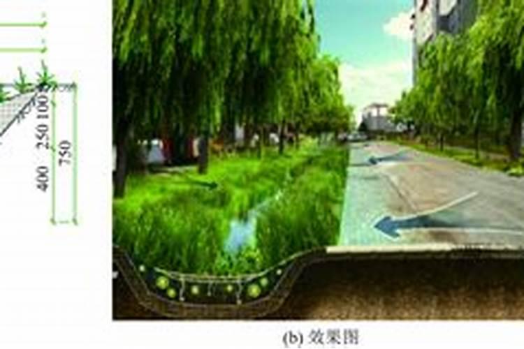 河底的淤泥有什么作用