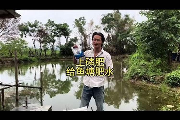 磷肥对鱼塘的作用及功能