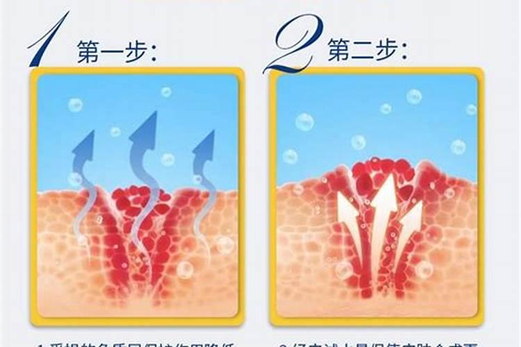 请问绿色植物的叶尖会发黄？