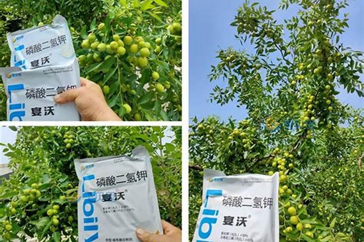 九道水溶肥厂是正规厂吗