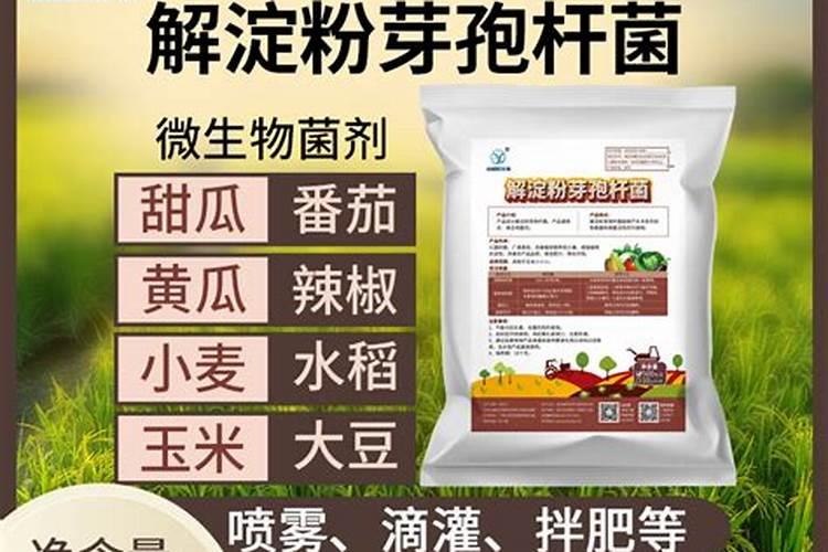 多粘芽孢菌最佳配伍