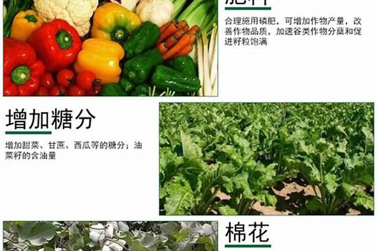 底肥用什么肥料做底肥能够达到高产？底肥什么时候用效果好？