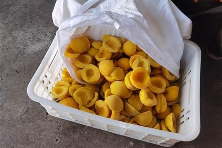 黄桃树怎么施肥效果好