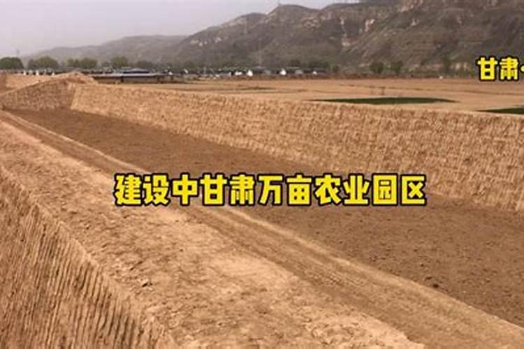 大棚番茄最全冬季施肥方案