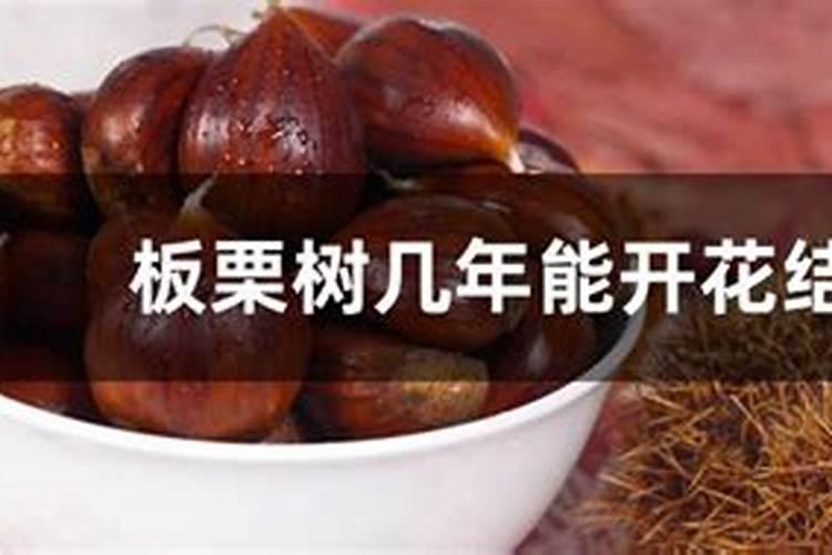 板栗树追什么肥最好