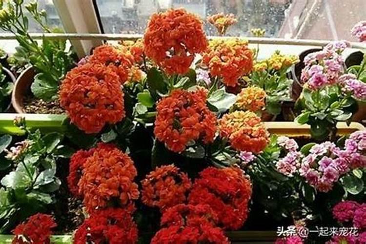 过期酸奶可以派上什么用场