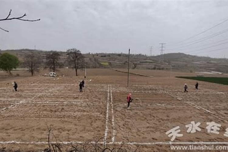 玉米高产肥料最佳配方