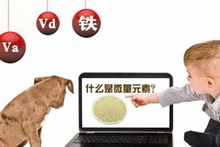 生物体内含量最多的元素叫什么