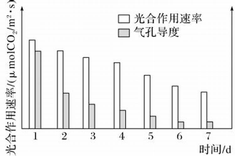 施肥过多光合作用速率降低的原因