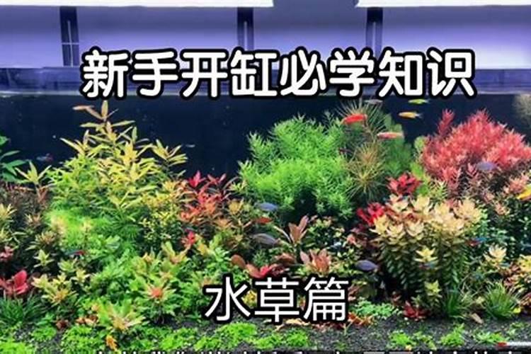 ...撒一层草木灰,要是撒上磷肥会不会起到一样效果？