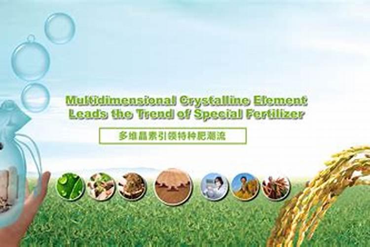 安徽有哪些化肥厂