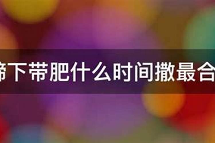 揭秘马蹄丰产方法