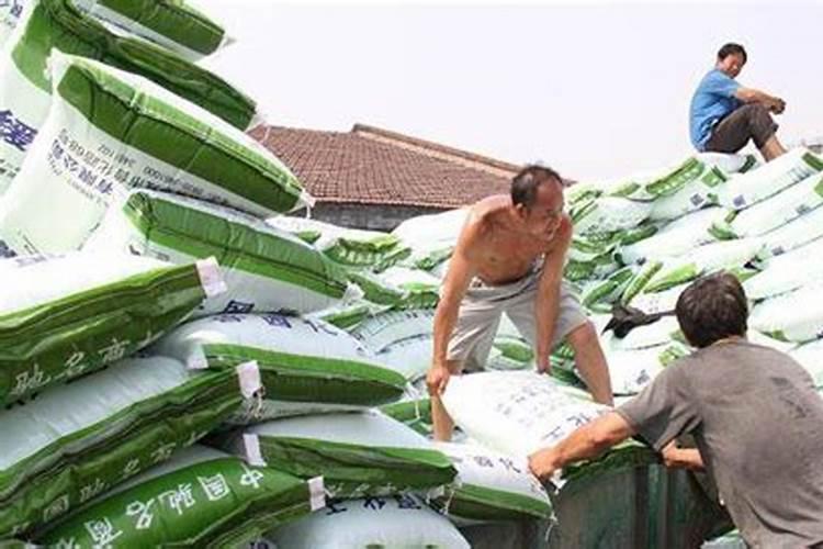 种菜用什么肥料好