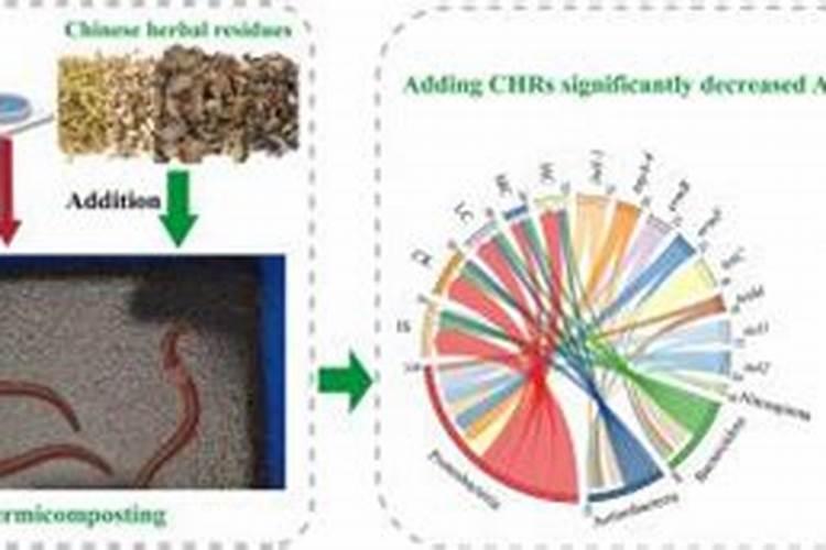 使用蚯蚓粪养花的优缺点