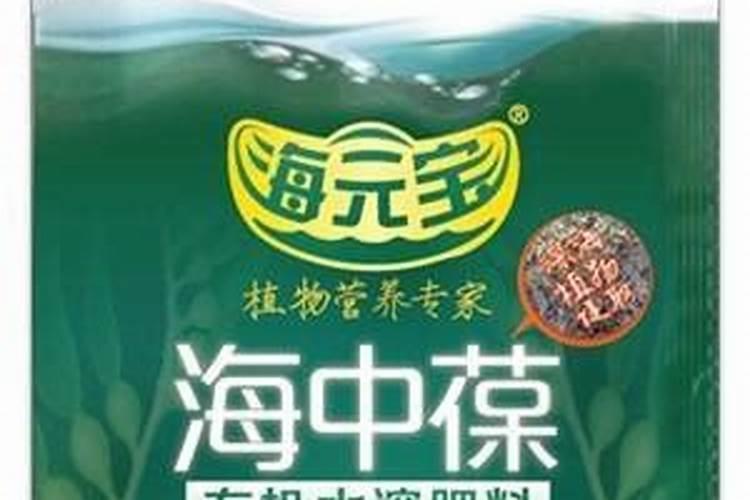 肥老头海藻肥怎么样